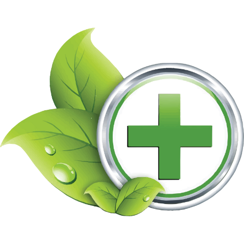 Mẫu web giới thiệu công ty